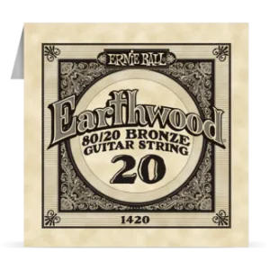 Ernie Ball Bronze Single 020