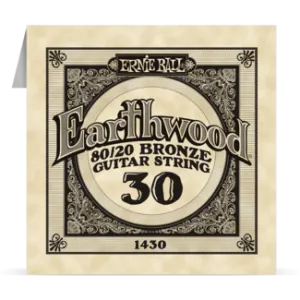Ernie Ball Bronze Single 030