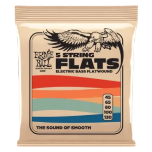 Ernie Ball Flatwound Bass 5 String 45-130