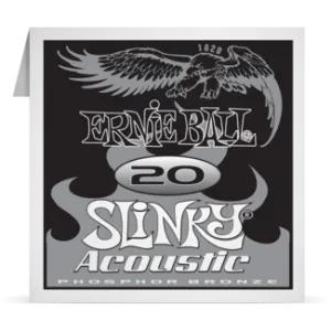 Ernie Ball Phosphor Bronze Single 020