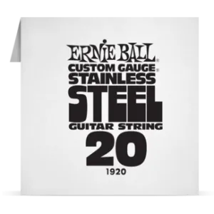 Ernie Ball Single Stainless 020