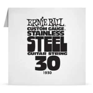 Ernie Ball Single Stainless 030